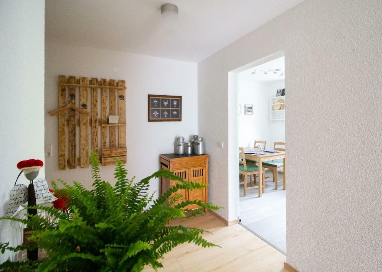 Schoene Und Helle Ferienwohnung In Pfaffenweiler فيلينغن سشفايننغ المظهر الخارجي الصورة